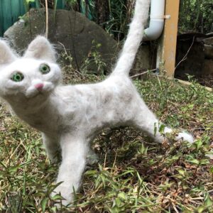 cat hair cats